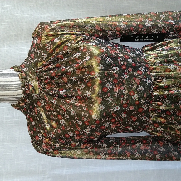 Metallic Chiffon Flowered Fit&Flare Long Sleeves Mini Dress Mock Neck Sz Medium - Picture 8 of 15